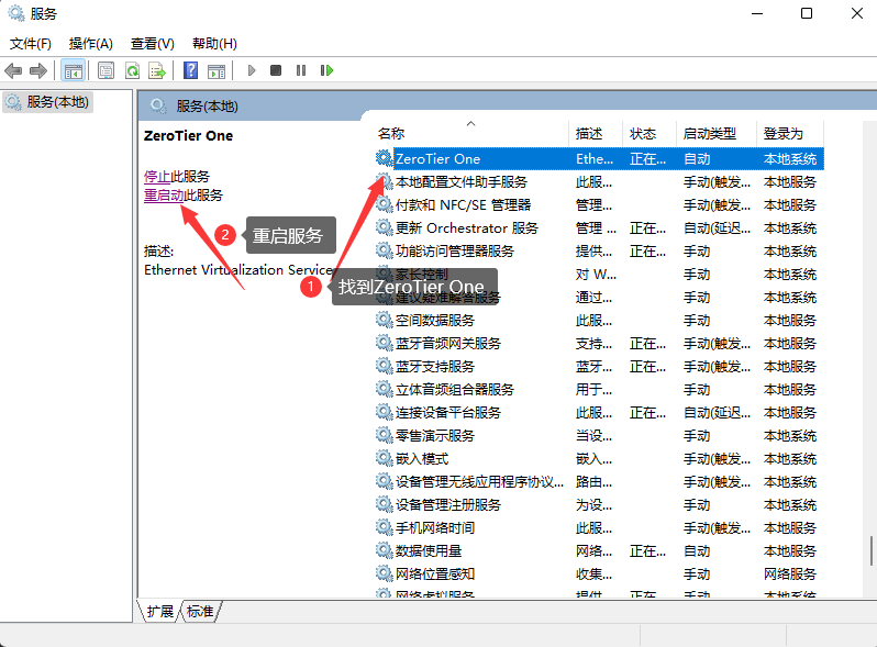 通过Docker自建zerotier-plant 网络维护交流 第2张
